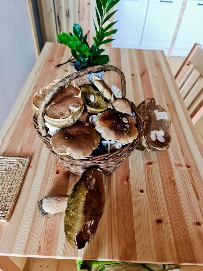 Chata Zorka Opařany Esterno foto
